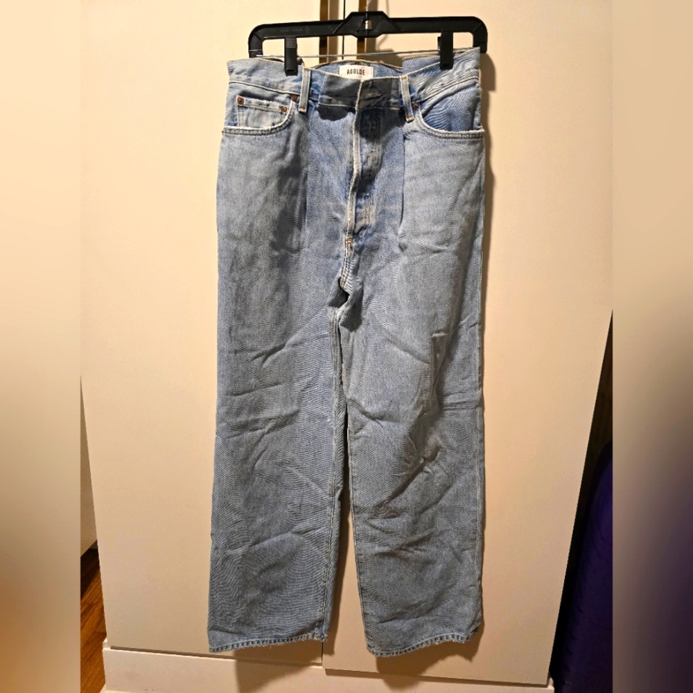 Agolde Dax Upsized jean